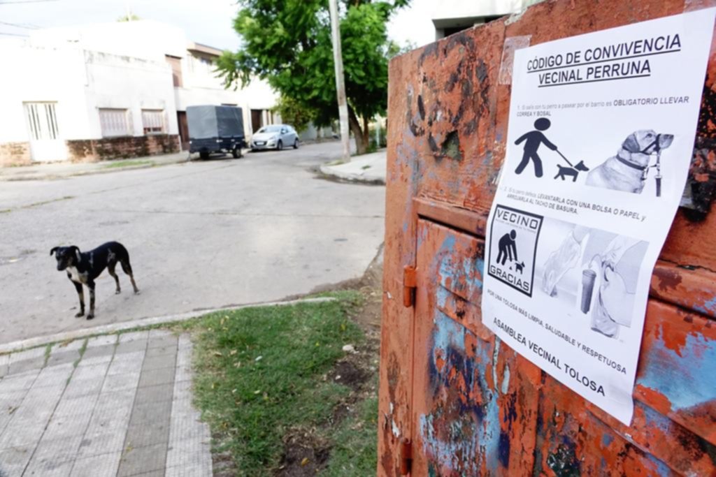 Por un acuerdo entre los vecinos de Tolosa, “correa y bozal” para sacar perros a la calle