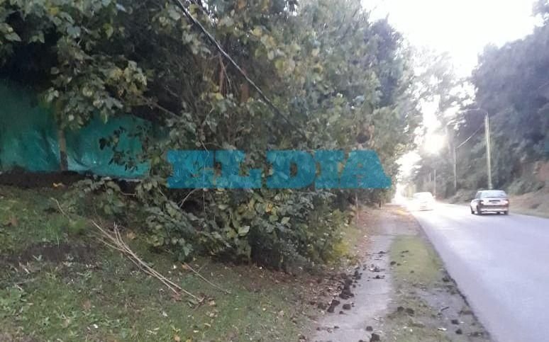Cables caídos en la avenida Arana de Villa Elisa que meten "miedo"