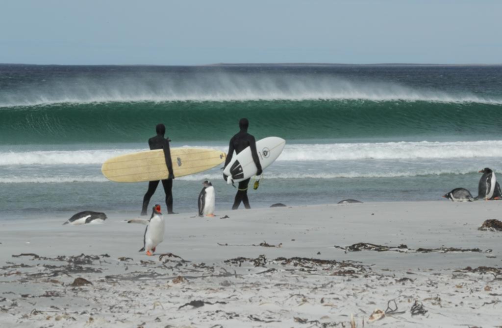 “La ola sin fronteras”: el surf como un puente entre argentinos e ingleses
