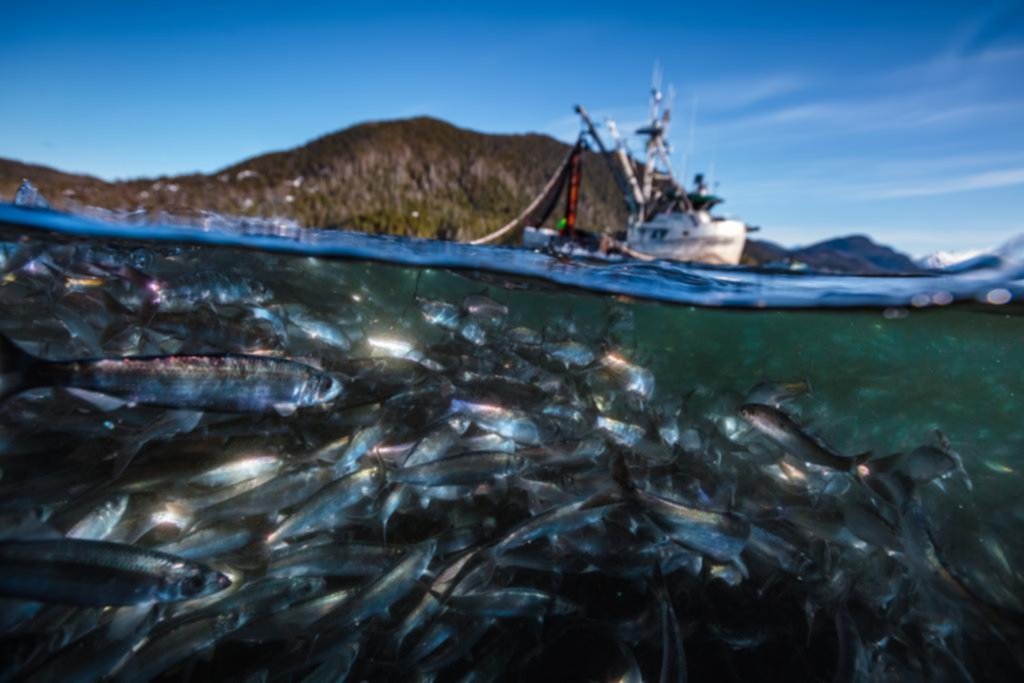 “Our Planet”, serie documental eco, llegó a Netflix