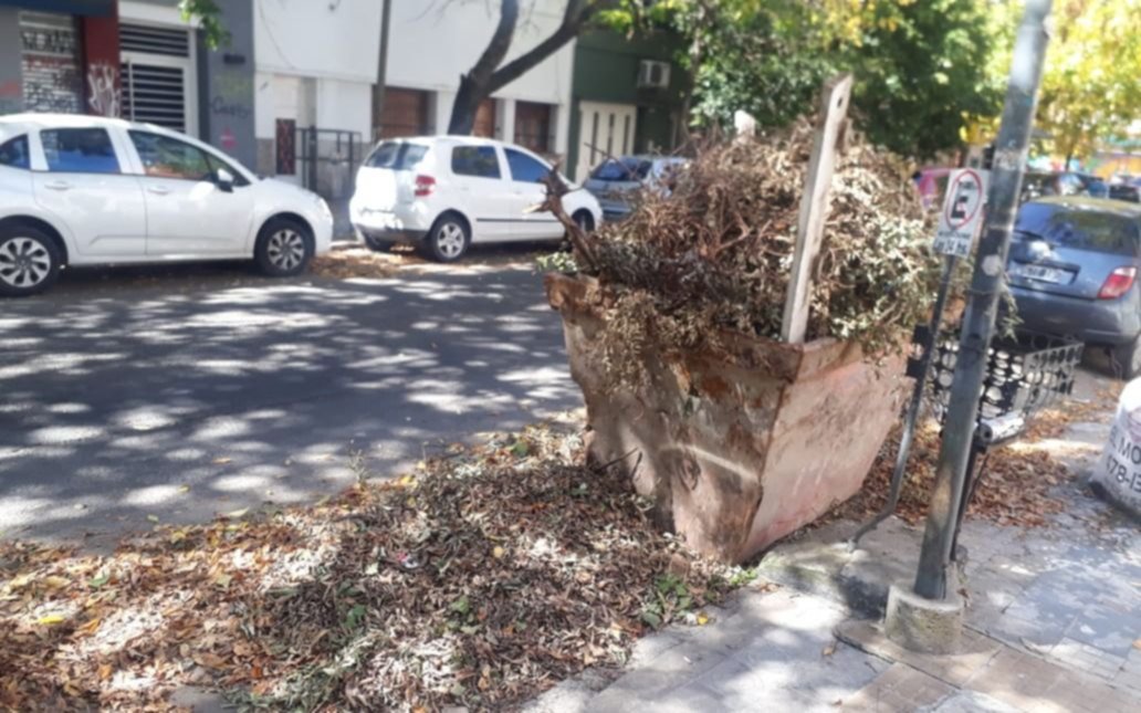 En 10 y 61 hace más de dos meses que no juntan ramas y hojas