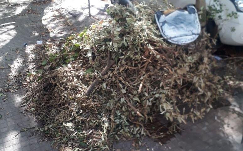 Llevan dos meses sin recolección de residuos