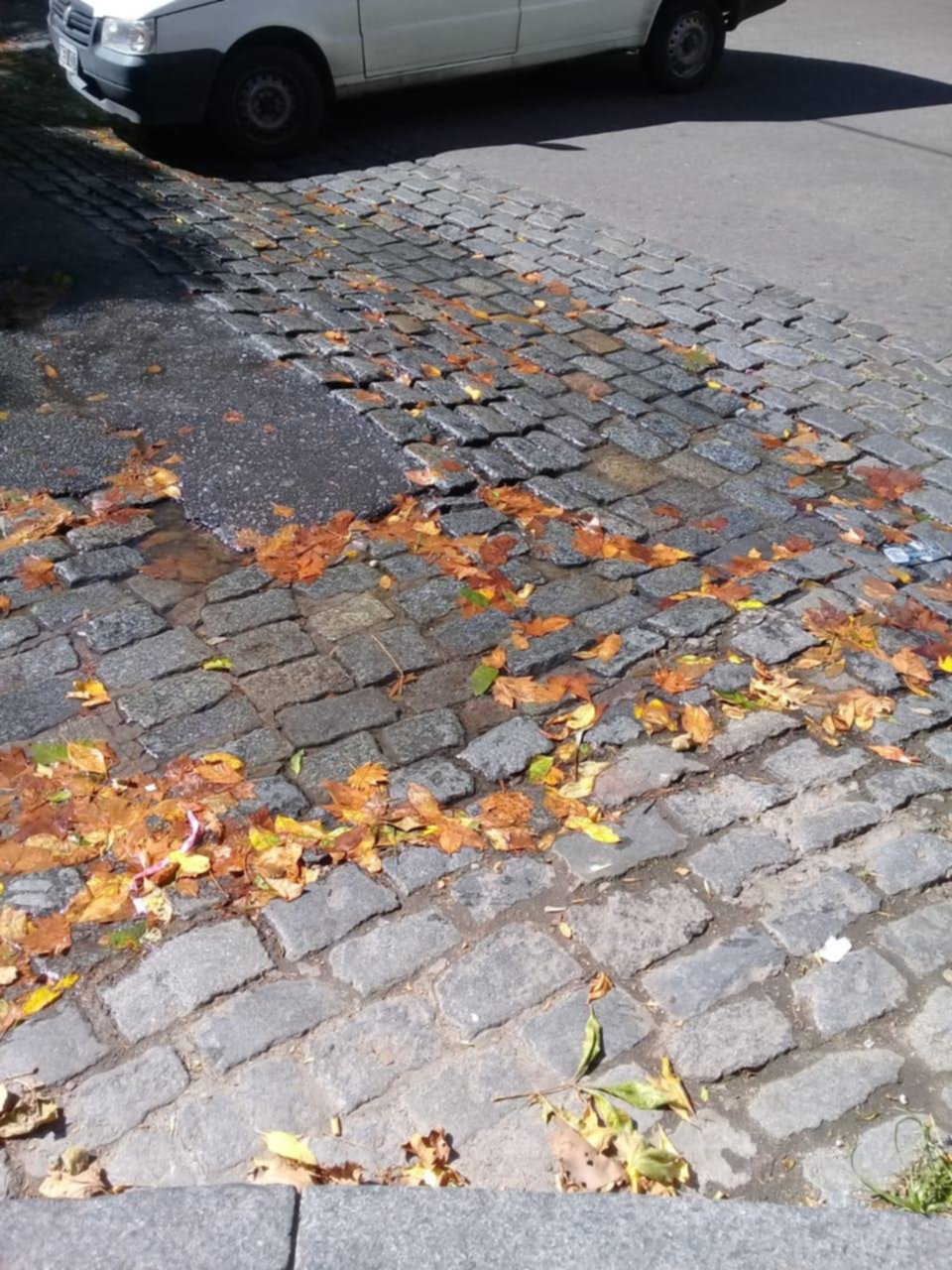 Cañería rota en el centro de la Ciudad