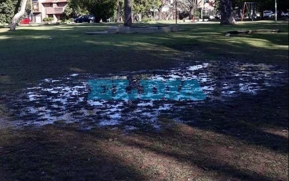“Pantano” en Parque San Martín