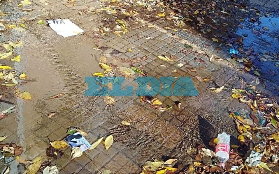 Malestar por pérdida de agua en 115 entre 60 y diagonal 79