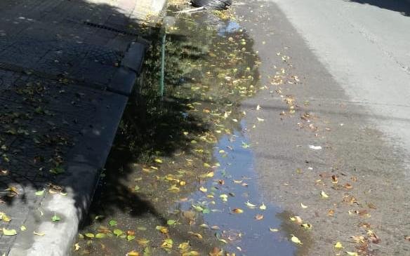 Más de 3 meses de quejas por una pérdida de agua