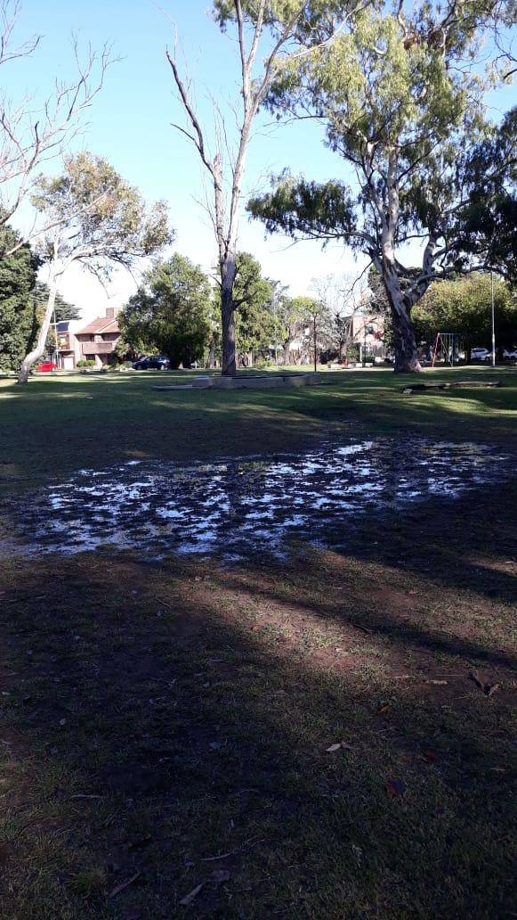 Pantano en el corazón del Parque San Martín