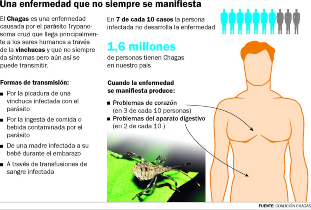 Buscan que para 2030 ningún bebé nazca con Chagas en el país
