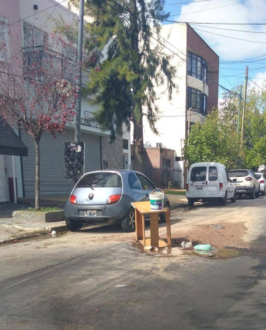Plantaron una “escultura vecinal” en el medio de un bache