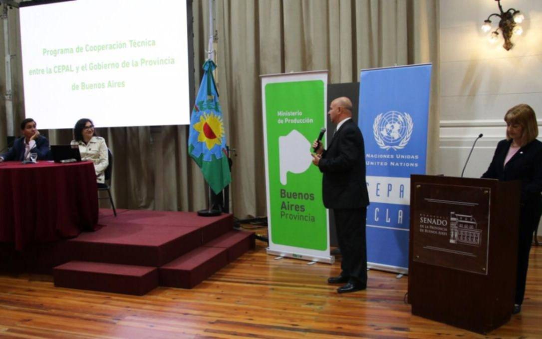 PyMEs bonaerenses: dieron a conocer los resultados del programa de cooperación técnica con la ONU