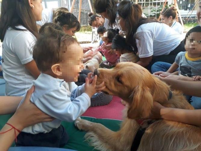 El juego con perros como terapia para los chicos institucionalizados