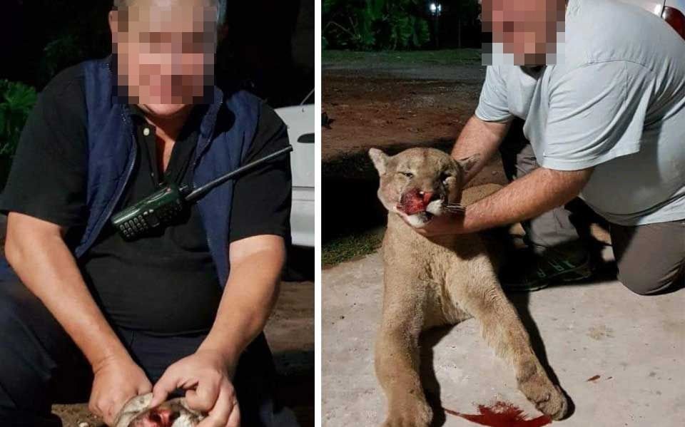 Mataron a un animal en peligro de extinción, publicaron las fotos y los detuvieron