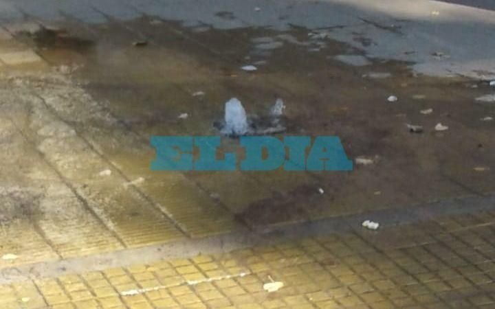 Una "fuente" en la vereda y juegos rotos, los reclamos en la zona de Parque Saavedra