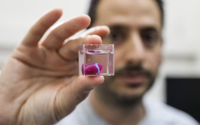 Crearon el primer corazón 3D con tejido humano