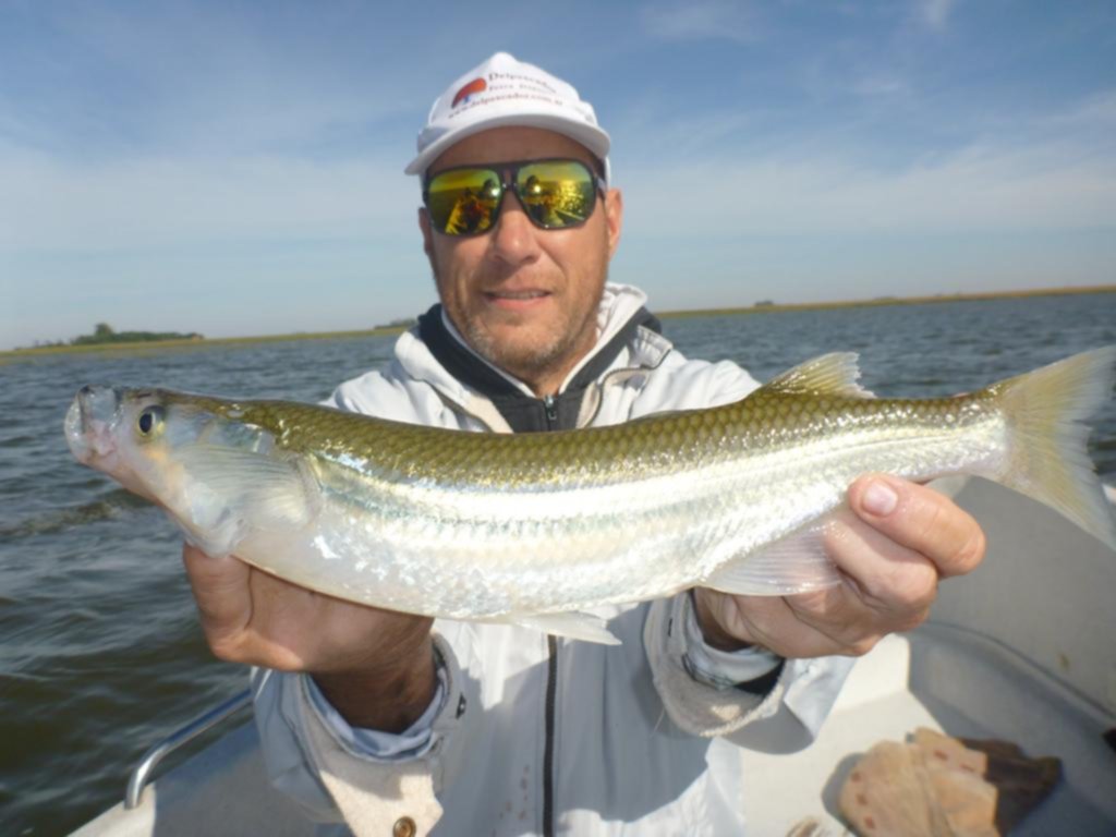 Laguna La Soraida, pejerreyes en todas las modalidades