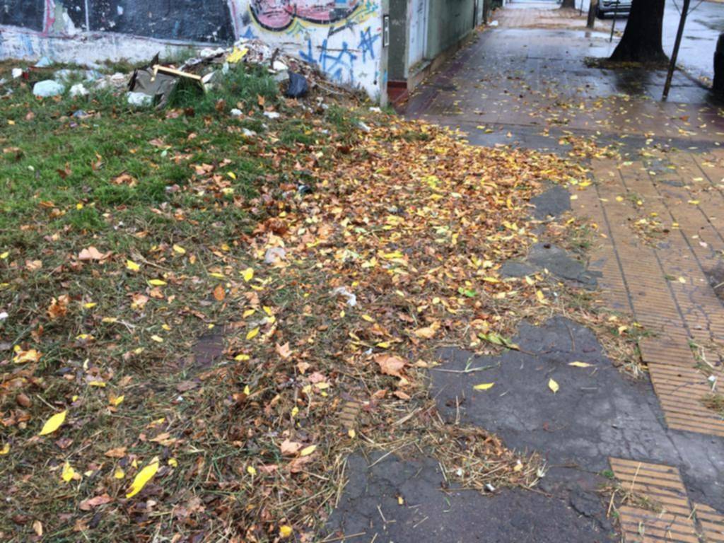 La hojarasca gana muchas calles de Parque Castelli