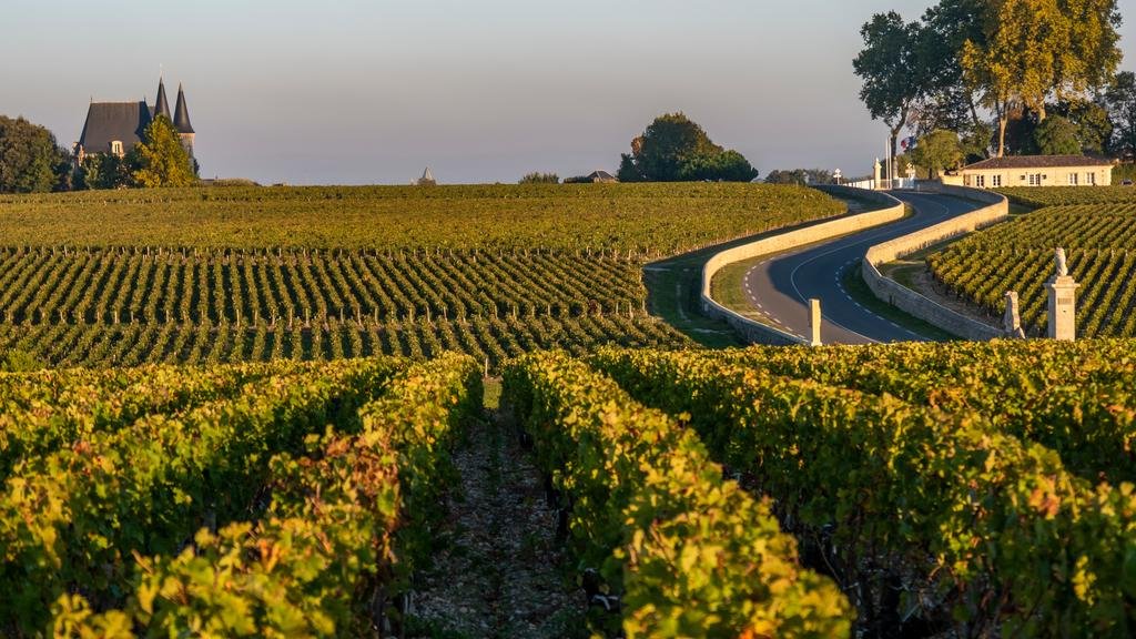 Argentina, un país con una extensa ruta vitivinícola