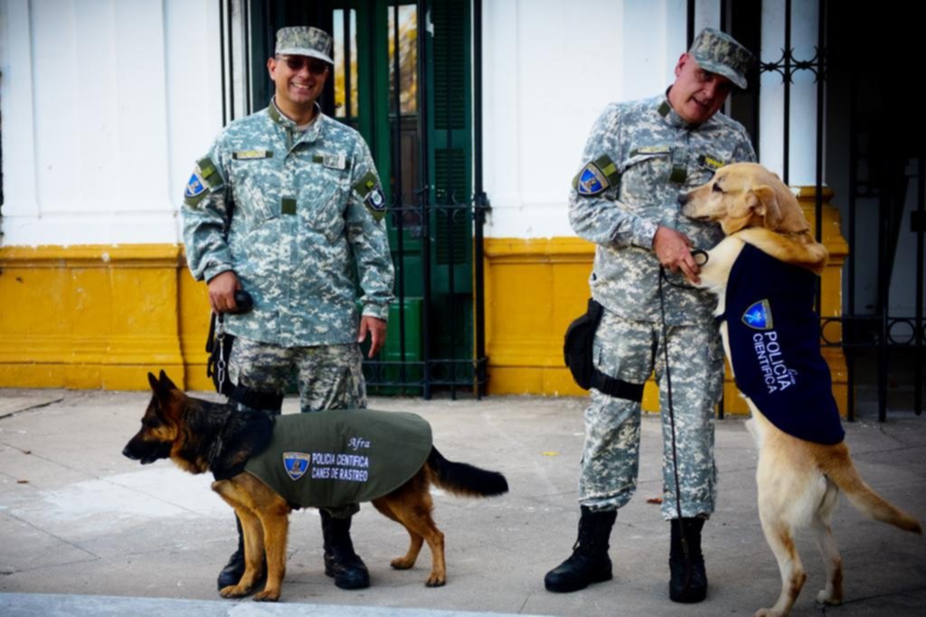 Súperperros