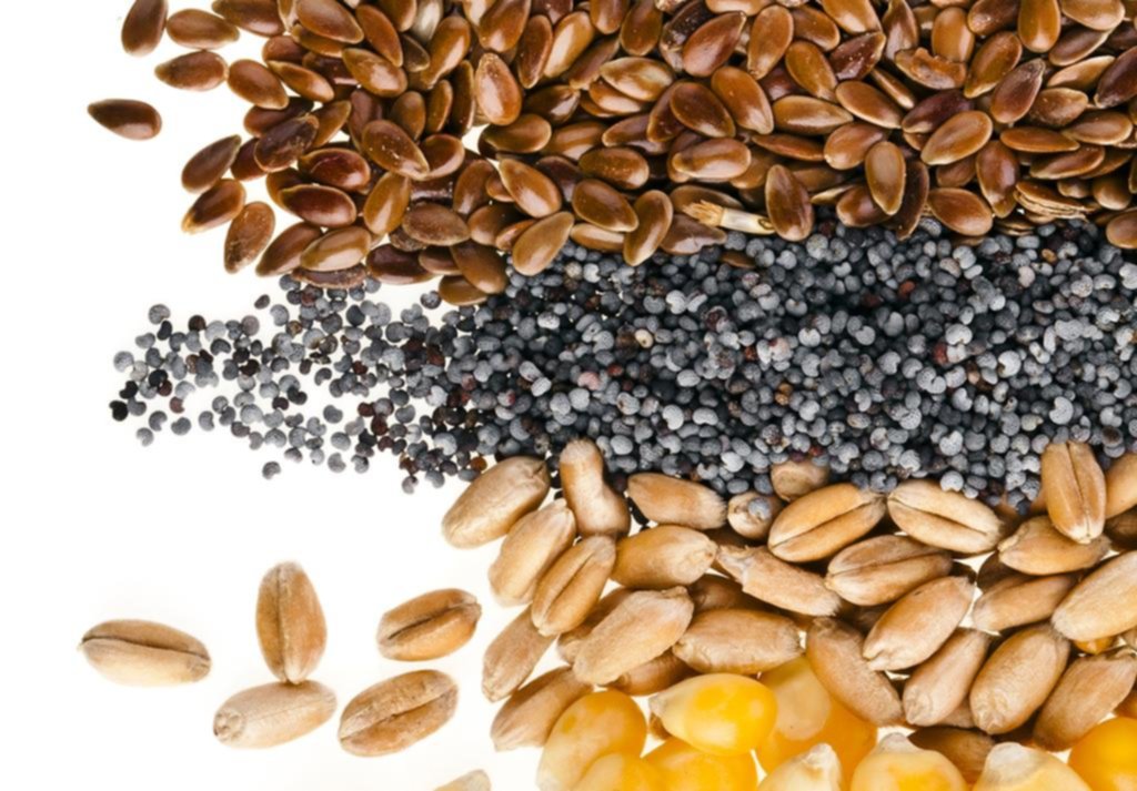 Semillas: moda nutritiva