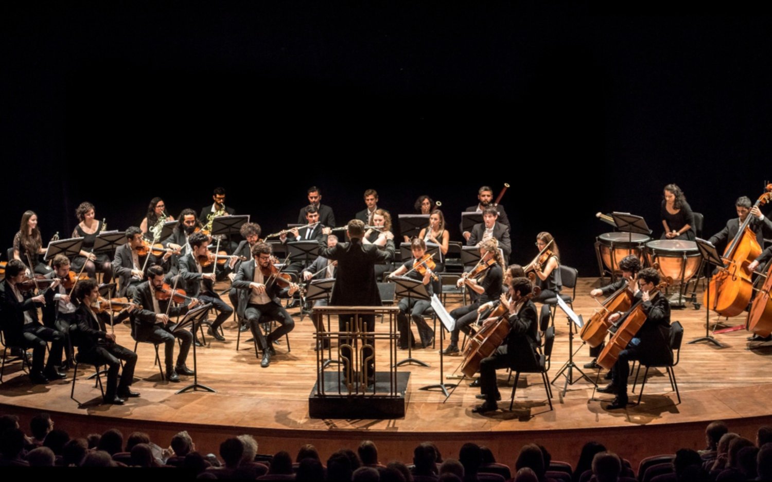 Se presenta esta tarde la Camerata Académica del Teatro Argentino