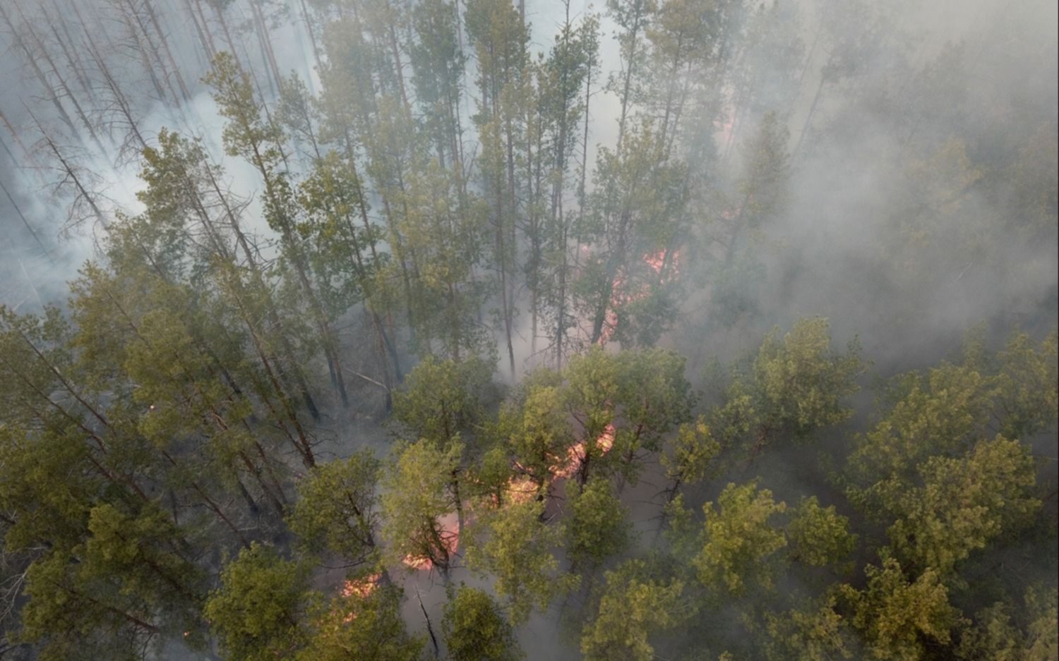 Aumentó 16 veces la radiación en Chernóbil por el incendio en zona de exclusión