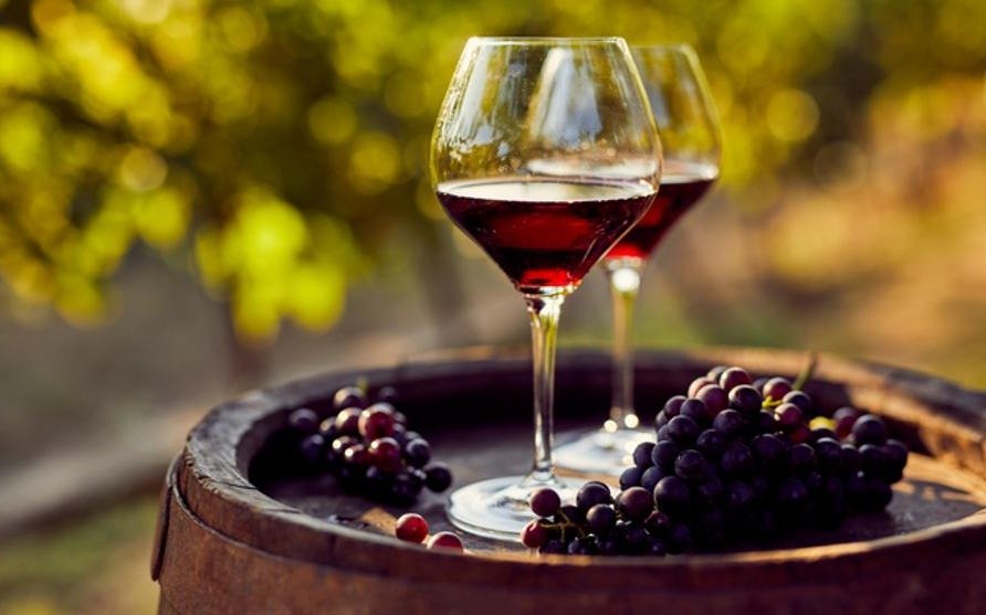 Ante la prohibición de vender vino en 40 municipios, buscan que se lo declare como un alimento