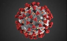  Guía básica contra las mentiras del coronavirus 