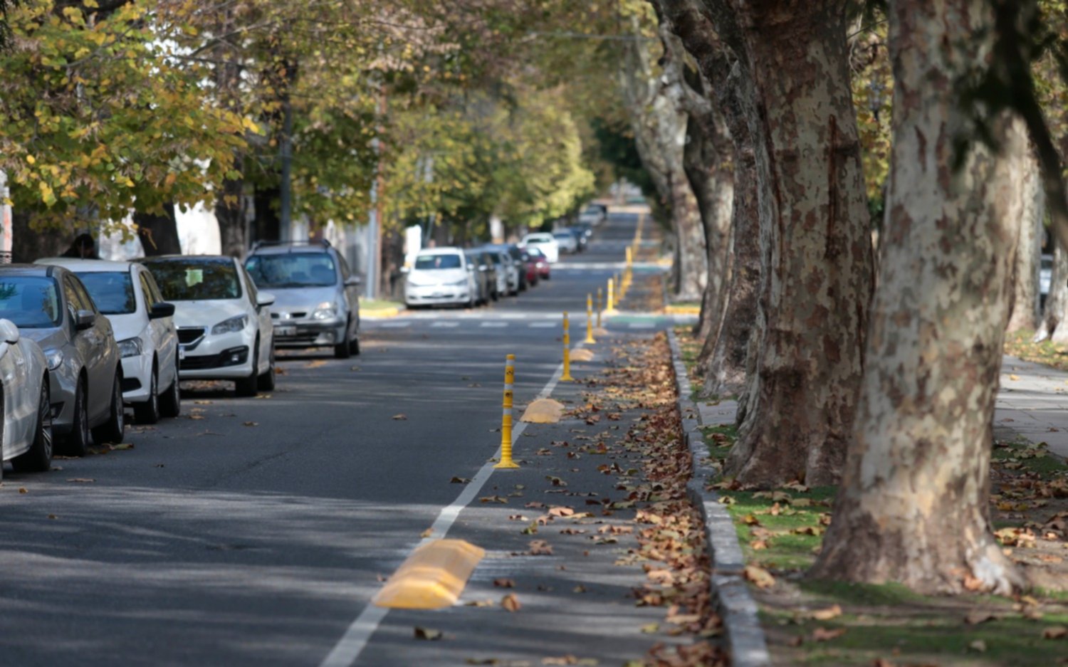 Sábado soleado y con una máxima de 24 grados en la Región