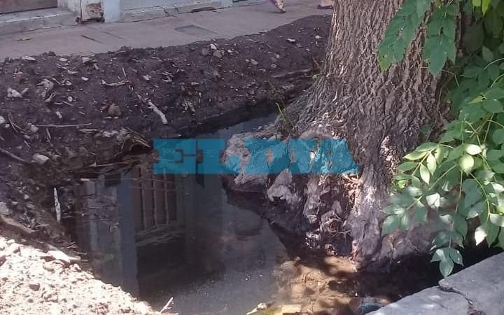 Queja vecinal en 70 y 14 por el estado de la vereda en la entrada de un edificio