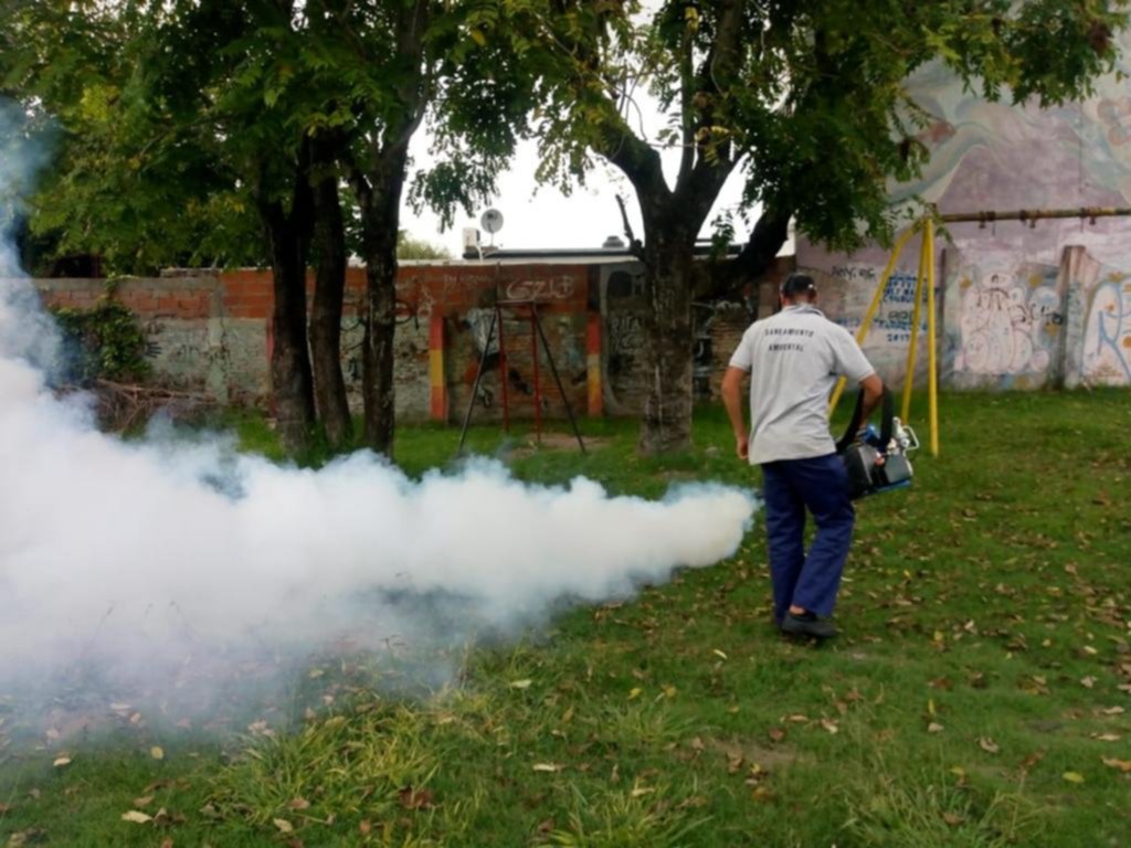 La presencia del dengue no frena y sólo en La Plata ya se suman 90 casos