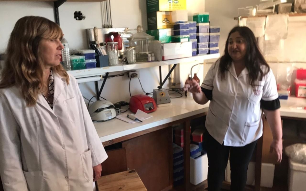 Trece laboratorios bonaerenses ya testean casos de coronavirus