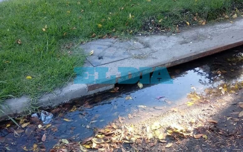 Continúan los reclamos por pérdidas de agua que facilitan el desarrollo de mosquitos