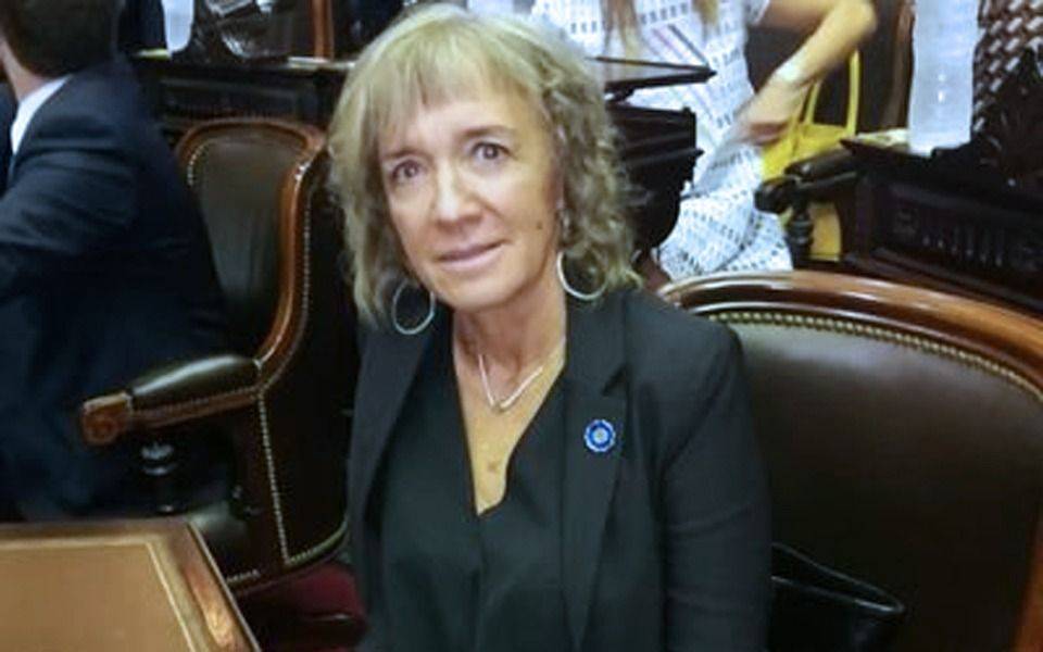 Presentan un recurso de amparo para que funcione la Cámara de Diputados