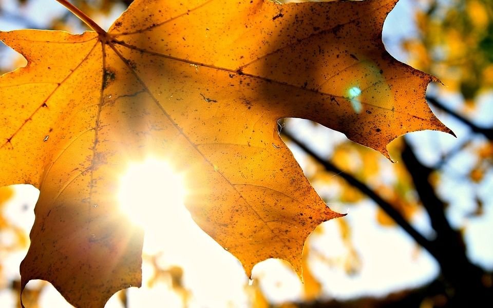 Jornada fresca como antesala de un fin de semana soleado