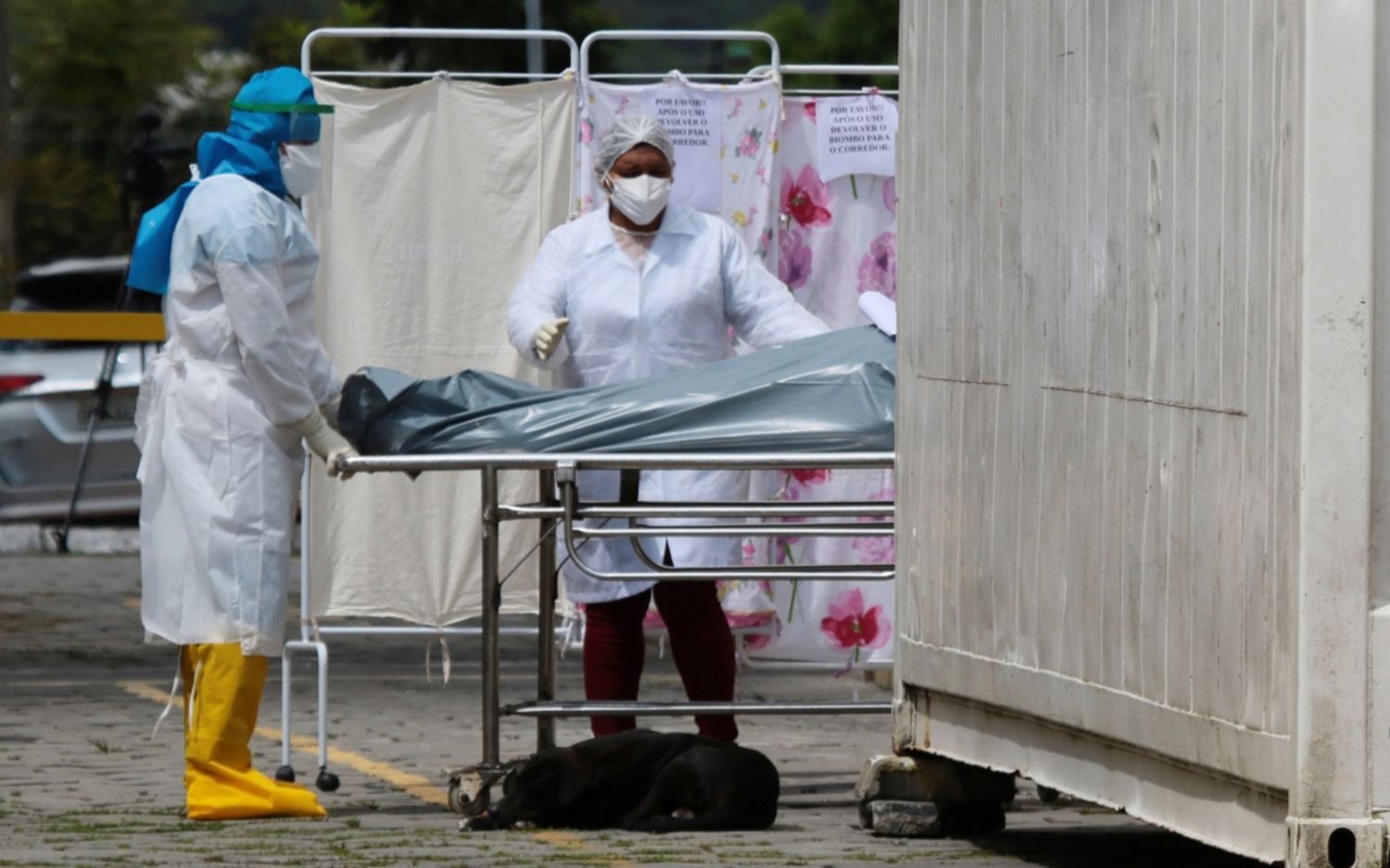 Nuevo récord en Brasil: sufre 217 muertes en un día