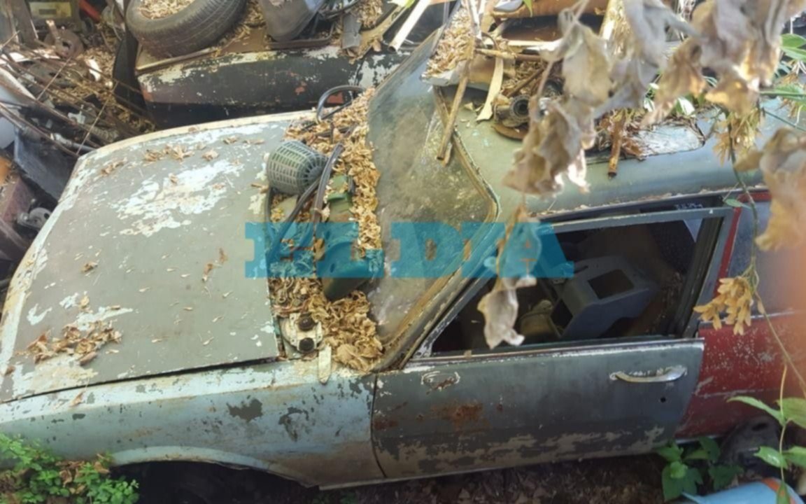 Vecinos piden limpieza urgente de un predio ubicado en 65, entre 145 y 146