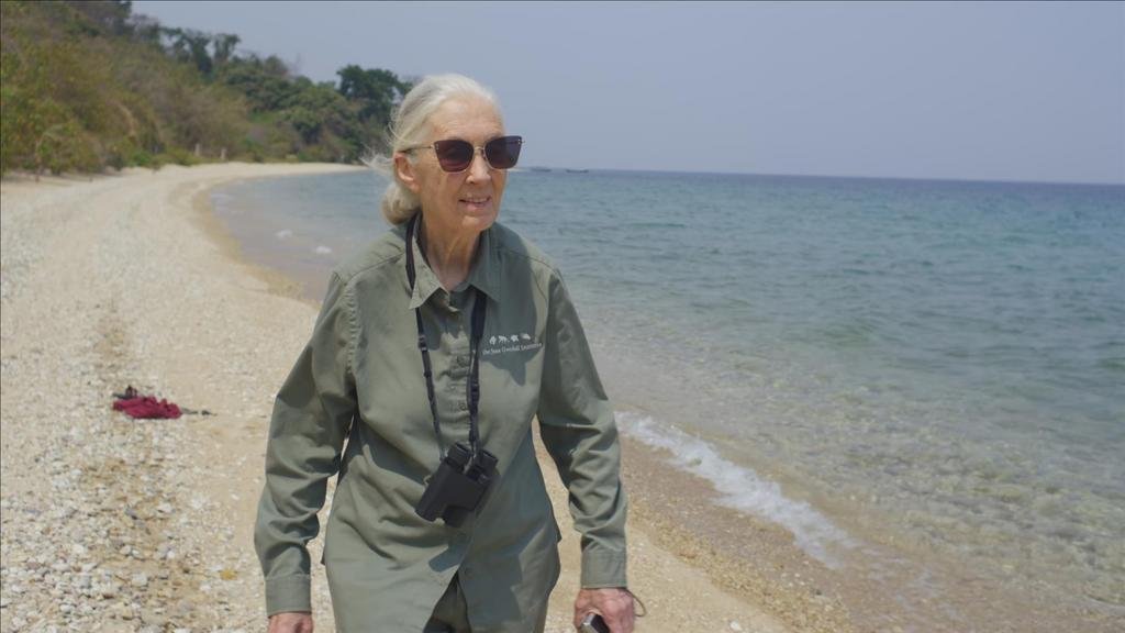 Jane Goodall: “Nuestra falta de respeto a los animales ha causado la pandemia de coronavirus”