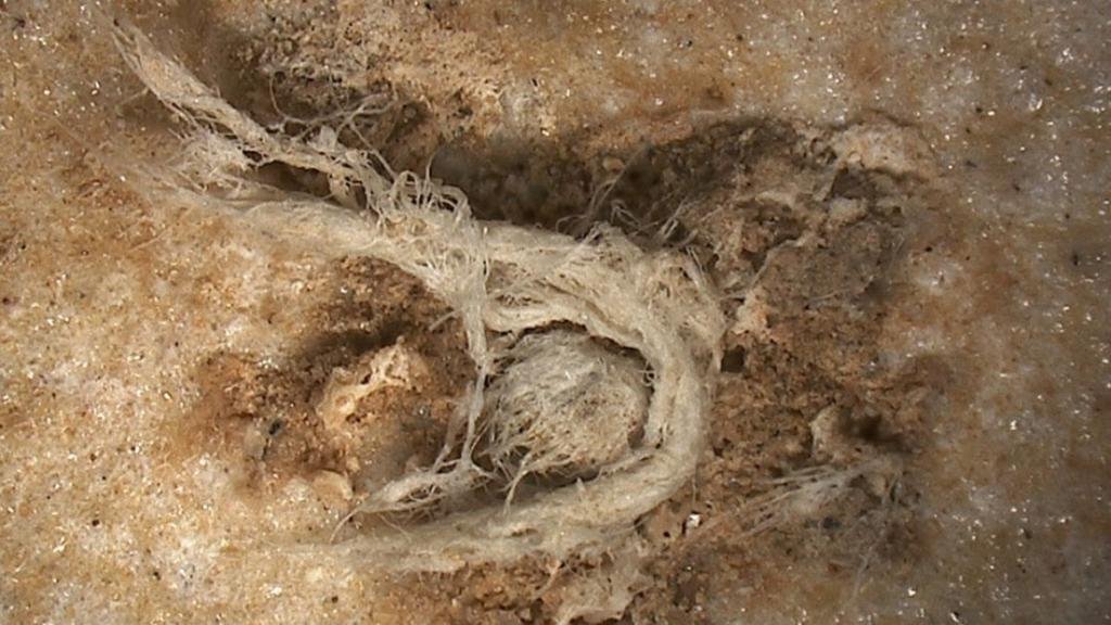 Descubren la cuerda hecha a mano más antigua, y no fue creada por nosotros