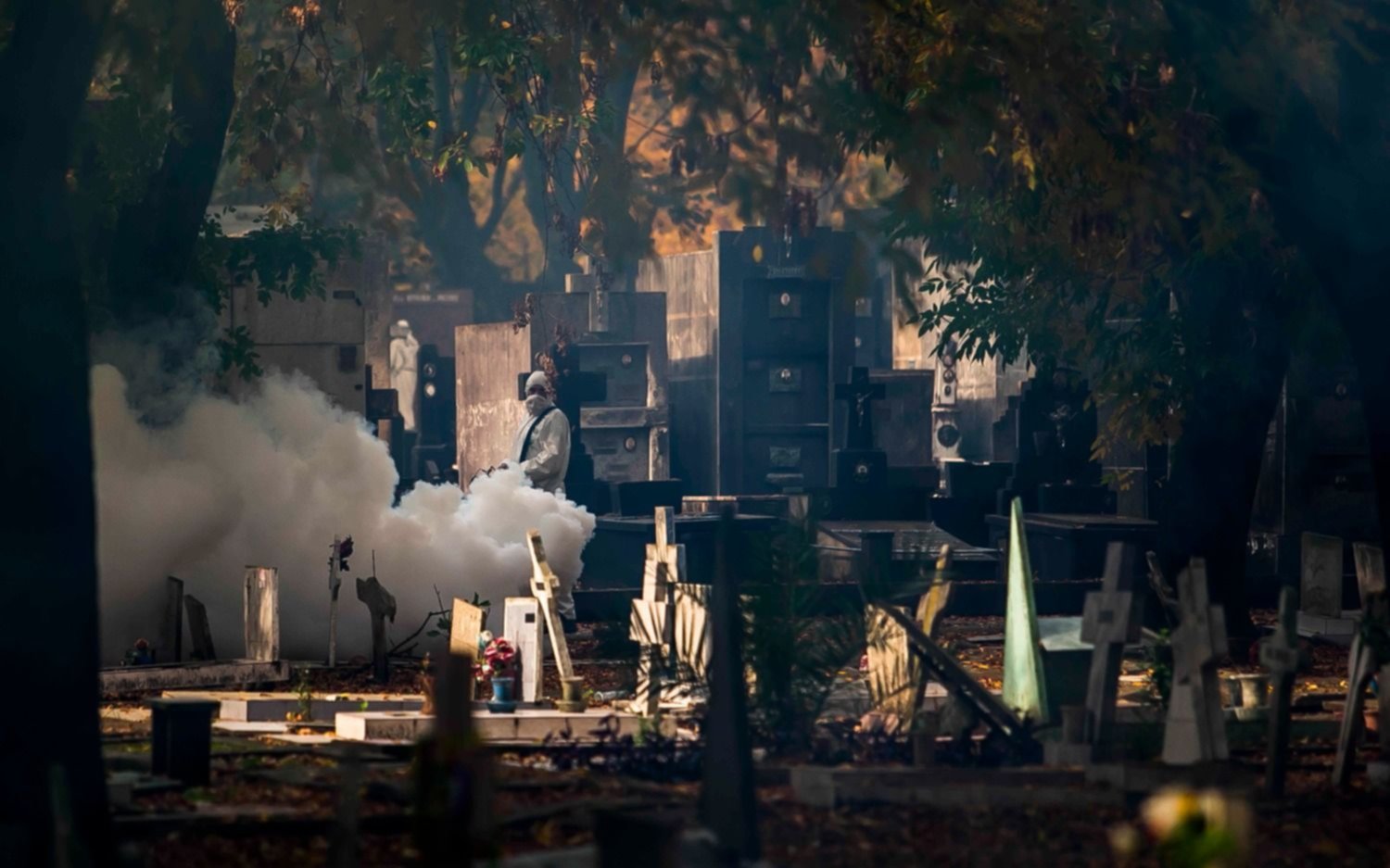 FOTOS.- La fumigación del Cementerio platense, en imágenes