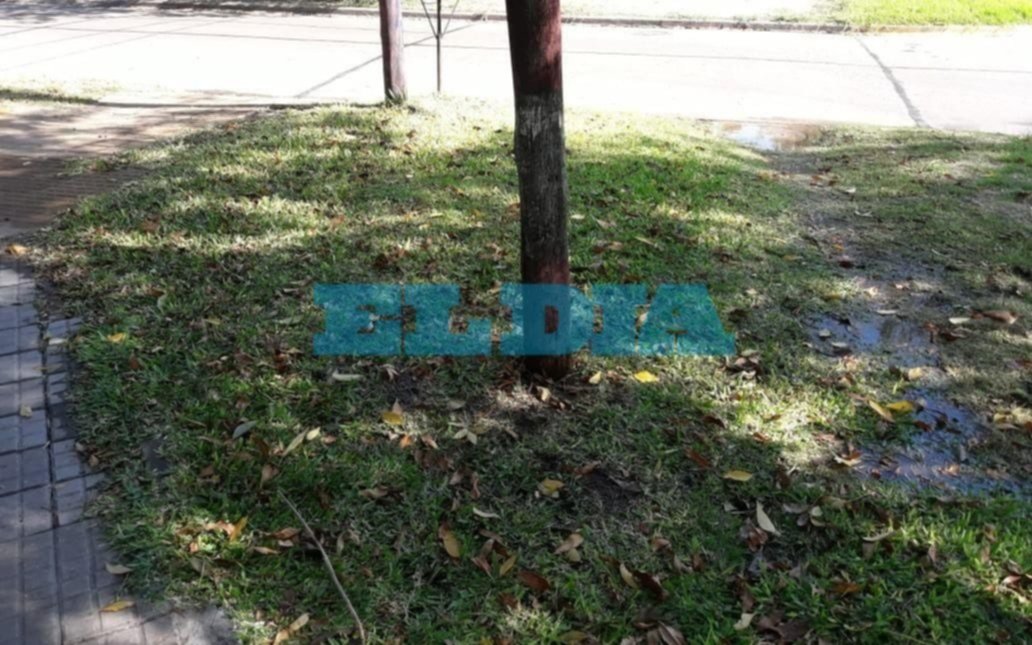 Crece la desesperación en la Ciudad por la falta de agua en medio de la emergencia sanitaria