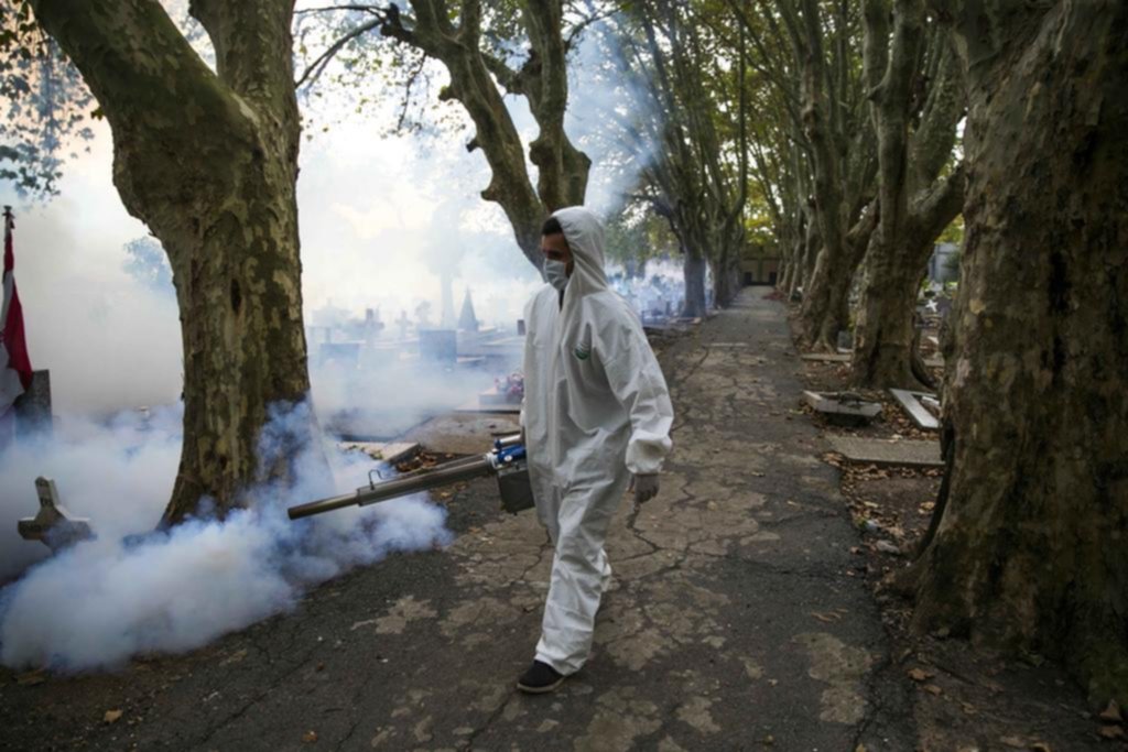 Dengue: con 101 contagios en la Ciudad, salen a reforzar las fumigaciones