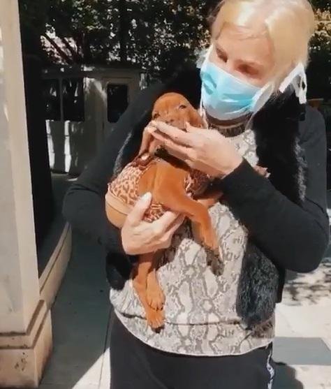 Con los pichos, no: Su devolvió a Rita, su perrita, porque la mordía, y le dijeron hasta “inhumana”