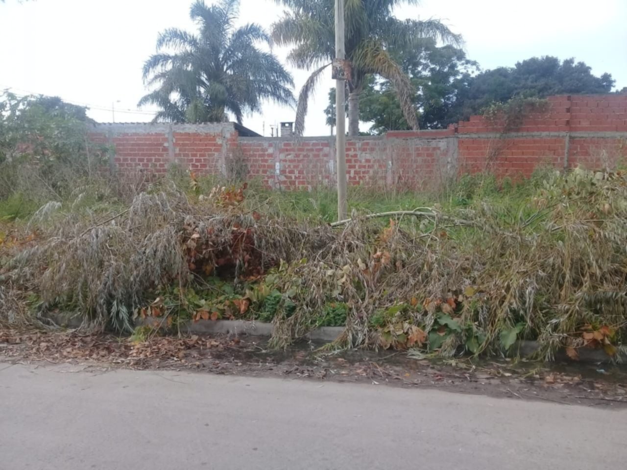 "Hay un foco infeccioso, estamos abandonados", se quejan en un barrio de Berisso