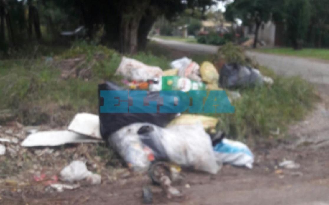 Los basurales a cielo abierto y la quema de residuos preocupan a los vecinos de Romero