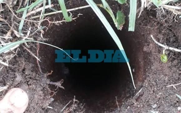 Cuarentena sin TV: vecinos de Tolosa llevan más de un mes sin cable por el robo de un poste