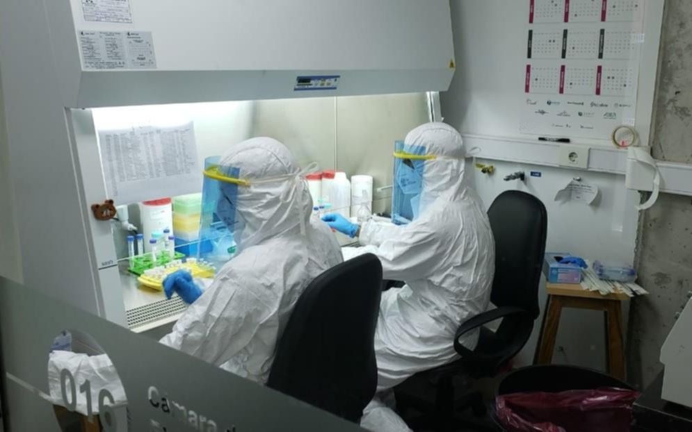 Provincia: los test de COVID-19 se hacen en 18 laboratorios 