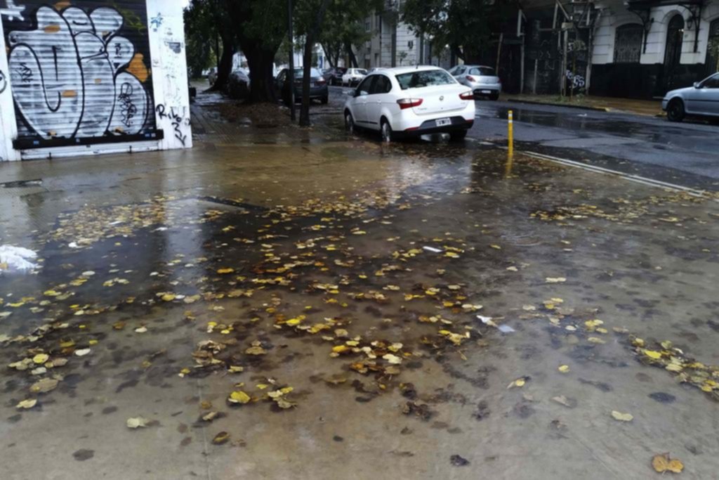 La lluvia puso en alerta a la Ciudad por la gran cantidad de hojas