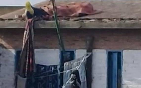 Detienen a tres penitenciarios por el crimen de un preso de la cárcel de Florencio Varela