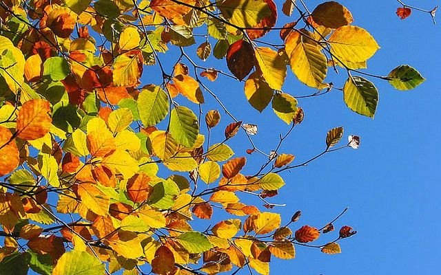 Sigue el sol, aunque con clima fresco