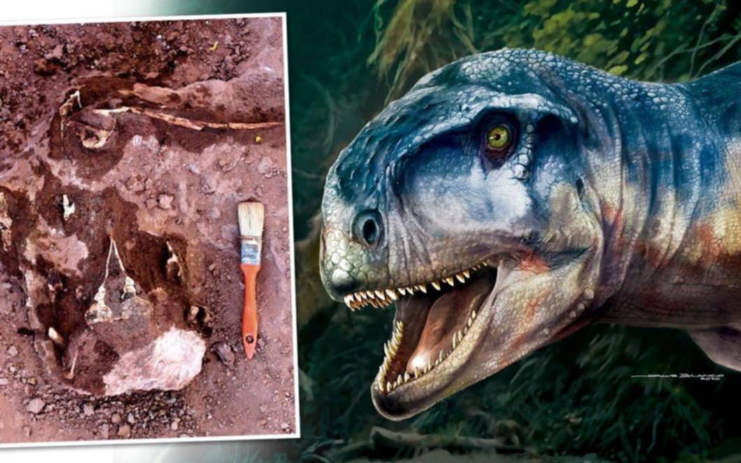 Científicos identificaron fósiles hallados en Neuquén como una nueva especie de dinosaurio